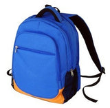 Rexin School Bag