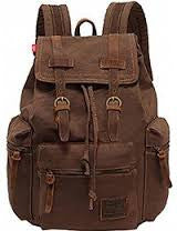 Cosmus Phoenix Trendy Casual Backpack